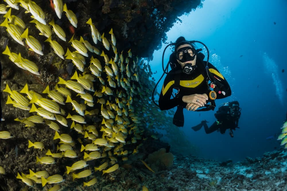Exciting boat adventure in Musandam Dibba